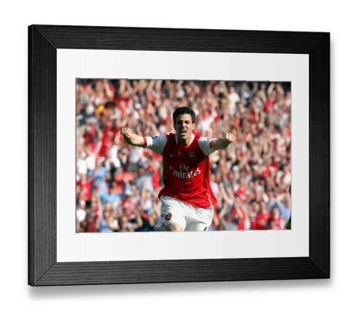 Framed Print : Cesc Fabregas Euphoric Moment: Arsenal's Unforgettable 2-1 Win Over Bolton Wanderers, FA Premiership, 2007 Framed Print : Cesc Fabregas Euphoric Moment: Arsenal's Unforgettable 2-1 Win Over Bolton Wanderers, FA Premiership, 2007