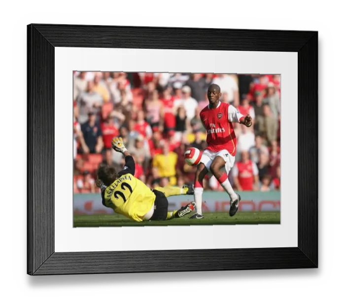 Framed Print : Abu Diaby (Arsenal) Jussi Jskelainen (Bolton) Framed Print : Abu Diaby (Arsenal) Jussi Jskelainen (Bolton)