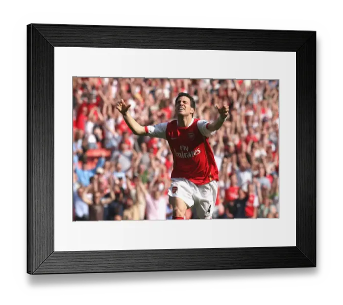 Framed Print : Fabregas Thrilling Strike: Arsenal Takes the Lead 2-1 vs. Bolton Wanderers, FA Premiership, 2007 Framed Print : Fabregas Thrilling Strike: Arsenal Takes the Lead 2-1 vs. Bolton Wanderers, FA Premiership, 2007