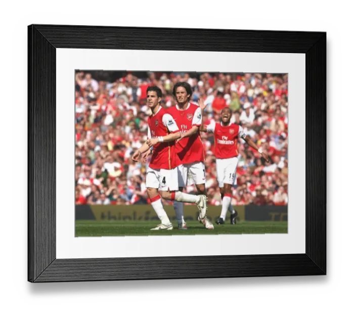 Framed Print : Cesc Fabregas and Tomas Rosicky (Arsenal)