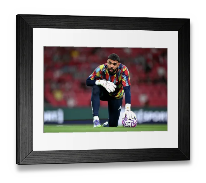Framed Print : Arsenal v Newcastle: Pre-Season Friendly Framed Print : Arsenal v Newcastle: Pre-Season Friendly