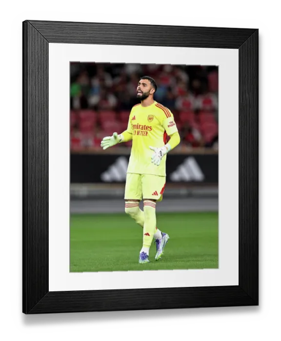 Framed Print : Arsenal v Newcastle: Pre-Season Friendly Framed Print : Arsenal v Newcastle: Pre-Season Friendly