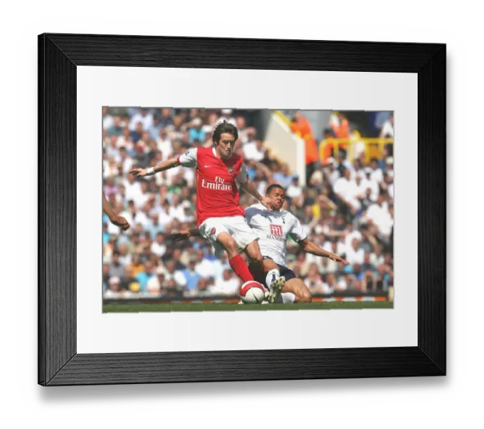 Framed Print : Tomas Rosicky (Arsenal) Jermaine Jenas (Tottenham) Tottenham 2: 2 Arsenal Framed Print : Tomas Rosicky (Arsenal) Jermaine Jenas (Tottenham) Tottenham 2: 2 Arsenal
