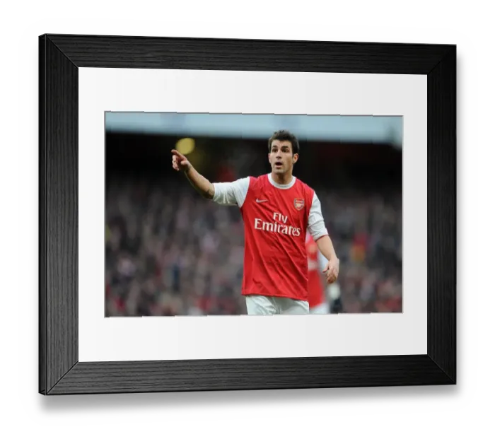 Framed Print : Cesc Fabregas Triumph: Arsenal 3-0 Wigan Athletic, Barclays Premier League, Emirates Stadium (2011)