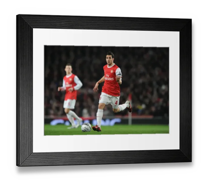 Framed Print : Cesc Fabregas (Arsenal). Arsenal 3: 0 Ipswich Town (3: 1 agg). Carling Cup Semi Final 2nd Leg