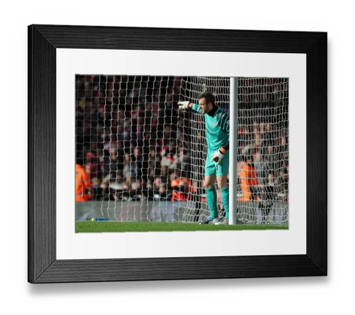 Framed Print : Manuel Almunia's Heroics: Arsenal's FA Cup Win Against Huddersfield Town (30.01.11)