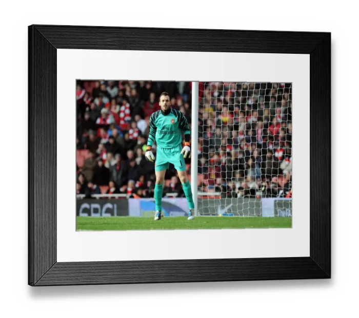Framed Print : Manuel Almunia's Heroics: Arsenal's FA Cup Victory Over Huddersfield Town (January 30, 2011) Framed Print : Manuel Almunia's Heroics: Arsenal's FA Cup Victory Over Huddersfield Town (January 30, 2011)