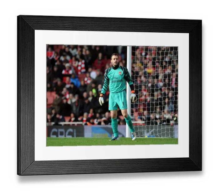 Framed Print : Manuel Almunia's Heroic Performance: Arsenal's FA Cup Victory over Huddersfield Town (30.1.11) Framed Print : Manuel Almunia's Heroic Performance: Arsenal's FA Cup Victory over Huddersfield Town (30.1.11)