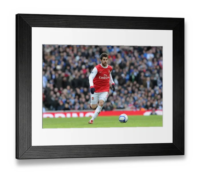 Framed Print : Cesc Fabregas (Arsenal). Arsenal 2: 1 Huddersfield Town. FA Cup 4th Round Framed Print : Cesc Fabregas (Arsenal). Arsenal 2: 1 Huddersfield Town. FA Cup 4th Round
