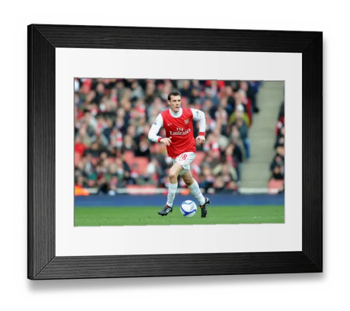 Framed Print : Sebastien Squillaci (Arsenal). Arsenal 2: 1 Huddersfield Town, FA Cup Fourth Round Framed Print : Sebastien Squillaci (Arsenal). Arsenal 2: 1 Huddersfield Town, FA Cup Fourth Round