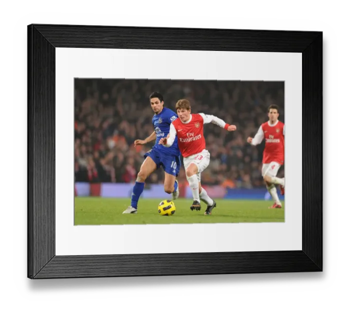 Framed Print : Andrey Arshavin (Arsenal) Mikel Arteta (Everton). Arsenal 2: 1 Everton, Barclays Premier League