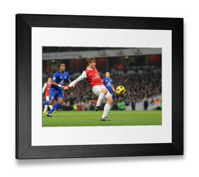 Framed Print : Andrey Arshavin scores Arsenals 1st goal. Arsenal 2: 1 Everton. Barclays Premier League