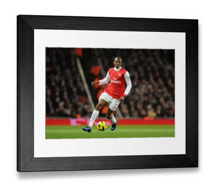 Framed Print : Abou Diaby Scores the Winner: Arsenal 2-1 Everton, Barclays Premier League, Emirates Stadium (2011) Framed Print : Abou Diaby Scores the Winner: Arsenal 2-1 Everton, Barclays Premier League, Emirates Stadium (2011)