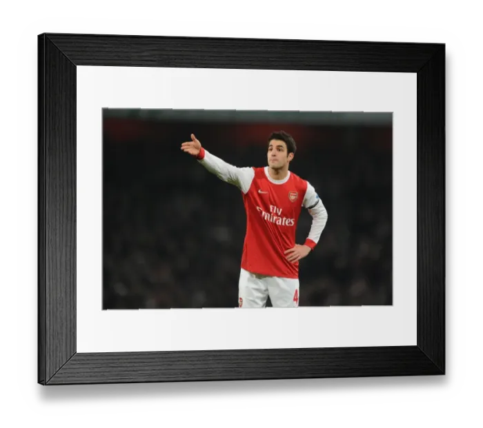 Framed Print : Cesc Fabregas (Arsenal). Arsenal 2: 1 Everton, Barclays Premier League, Emirates Stadium Framed Print : Cesc Fabregas (Arsenal). Arsenal 2: 1 Everton, Barclays Premier League, Emirates Stadium