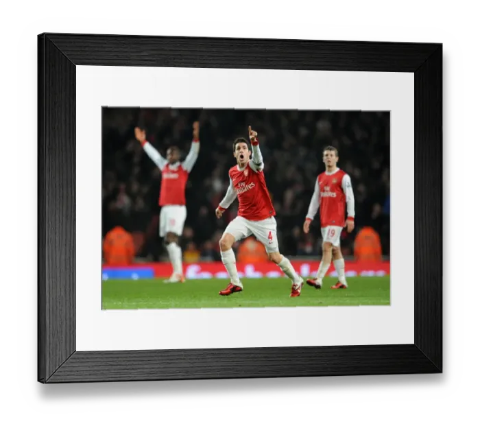 Framed Print : Cesc Fabregas Re-lives Controversial Everton Goal: Arsenal 2:1 Framed Print : Cesc Fabregas Re-lives Controversial Everton Goal: Arsenal 2:1