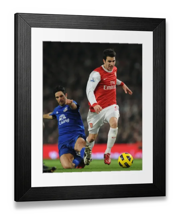 Framed Print : Cesc Fabregas (Arsenal) Mikel Arteta (Everton). Arsenal 2: 1 Everton, Barclays Premier League