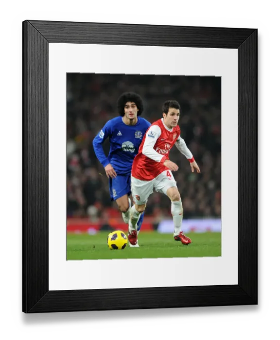 Framed Print : Cesc Fabregas (Arsenal) Marouane Fellaini (Everton). Arsenal 2: 1 Everton