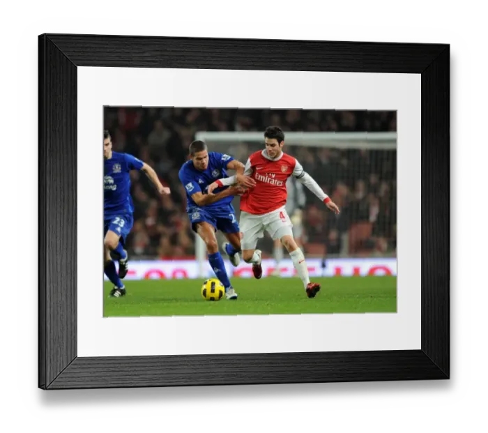 Framed Print : Cesc Fabregas (Arsenal) Jack Rodwell (Everton). Arsenal 2: 1 Everton. Barclays Premier League
