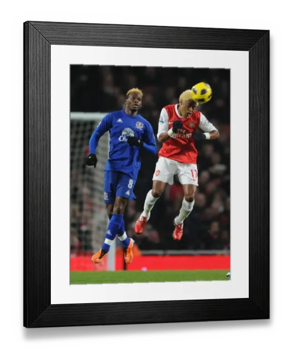 Framed Print : Alex Song (Arsenal) Louis Saha (Everton). Arsenal 2: 1 Everton, Barclays Premier League