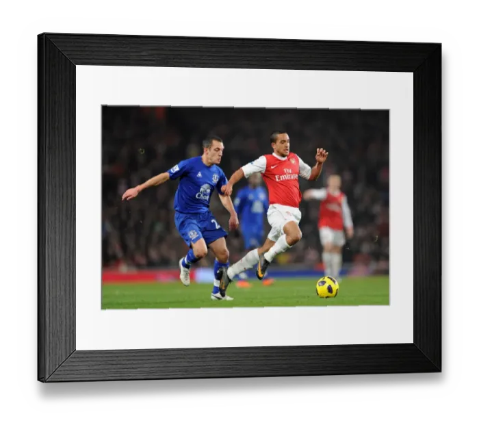 Framed Print : Theo Walcott (Arsenal) Leon Osman (Everton). Arsenal 2: 1 Everton. Barclays Premier League