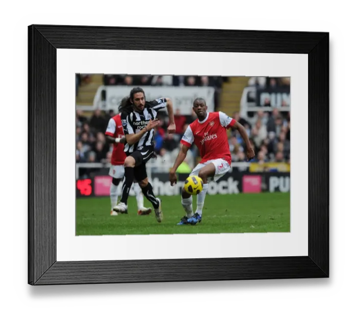 Framed Print : Abou Diaby (Arsenal) Jonas Guitierrez (Newcastle). Newcastle United 4: 4 Arsenal