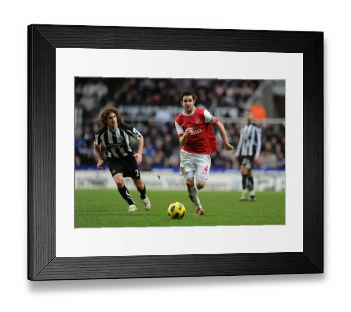 Framed Print : Cesc Fabregas (Arsenal) Fabricio Coloccini (Newcastle). Newcastle United 4: 4 Arsenal Framed Print : Cesc Fabregas (Arsenal) Fabricio Coloccini (Newcastle). Newcastle United 4: 4 Arsenal