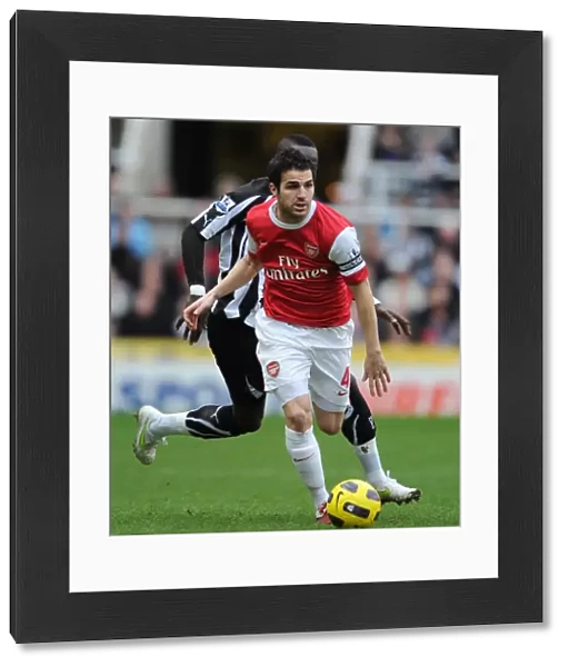 Cesc Fabregas (Arsenal) Cheik Tiote (Newcastle). Newcastle United 4: 4 Arsenal