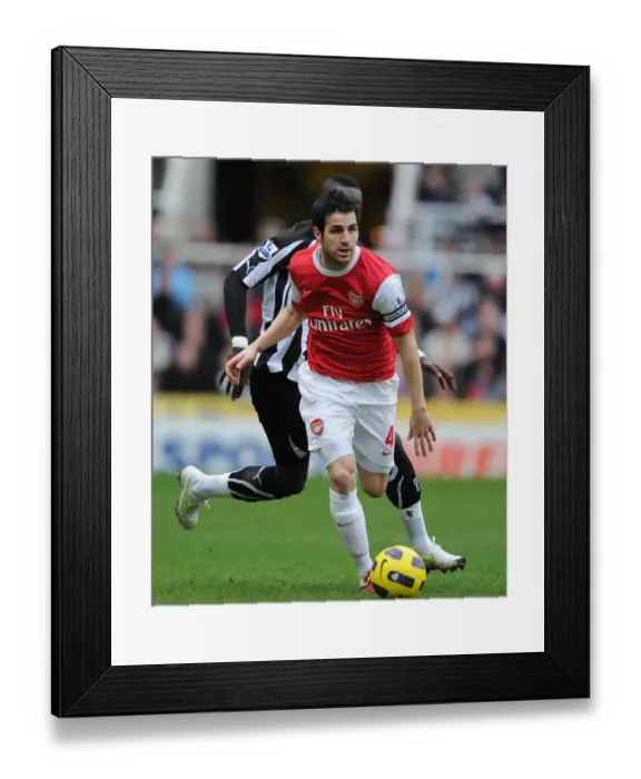 Framed Print : Cesc Fabregas (Arsenal) Cheik Tiote (Newcastle). Newcastle United 4: 4 Arsenal