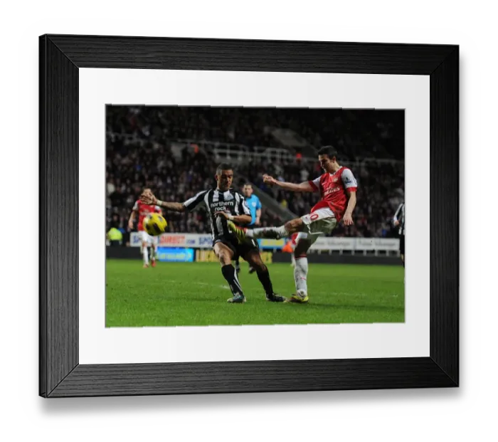Framed Print : Robin van Persie (Arsenal) has his goal dissalowed for offside. Newcastle United 4 Framed Print : Robin van Persie (Arsenal) has his goal dissalowed for offside. Newcastle United 4
