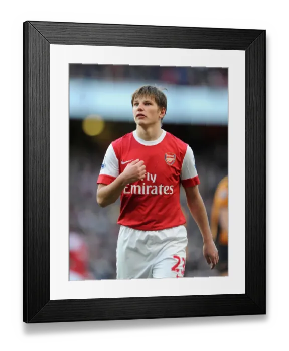 Framed Print : Andrey Arshavin (Arsenal). Arsenal 2: 0 Wolverhampton Wanderers. Barclays Premier League Framed Print : Andrey Arshavin (Arsenal). Arsenal 2: 0 Wolverhampton Wanderers. Barclays Premier League