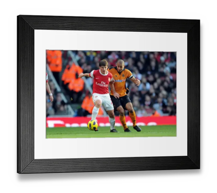 Framed Print : Andrey Arshavin (Arsenal) Karl Henry (Wolves). Arsenal 2: 0 Wolverhampton Wanderers Framed Print : Andrey Arshavin (Arsenal) Karl Henry (Wolves). Arsenal 2: 0 Wolverhampton Wanderers