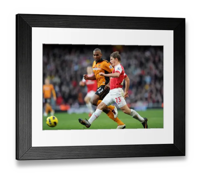 Framed Print : Andrey Arshavin (Arsenal) Ronald Zubar (Wolves). Arsenal 2: 0 Wolverhampton Wanderers Framed Print : Andrey Arshavin (Arsenal) Ronald Zubar (Wolves). Arsenal 2: 0 Wolverhampton Wanderers