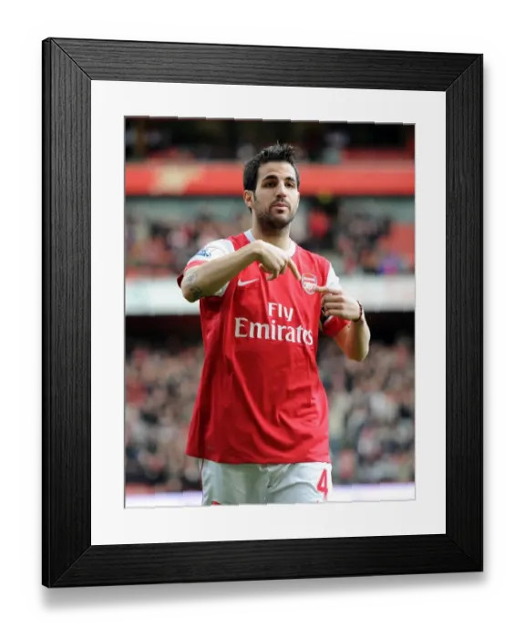 Framed Print : Cesc Fabregas (Arsenal). Arsenal 2: 0 Wolverhampton Wanderers. Barclays Premier League