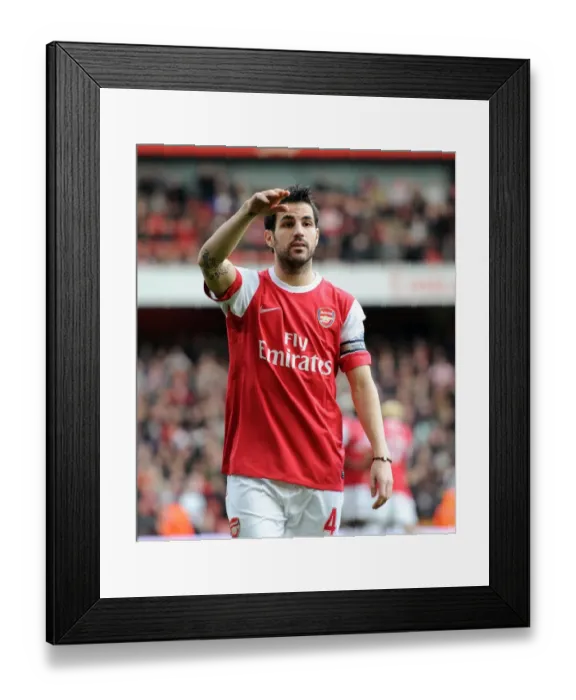 Framed Print : Cesc Fabregas Sparks Arsenal's 2-0 Victory over Wolverhampton Wanderers in the Premier League