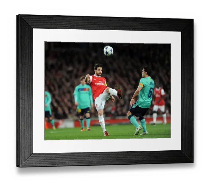 Framed Print : Cesc Fabregas (Arsenal) Xavi (Barcelona). Arsenal 2: 1 Barcelona. UEFA Champions League