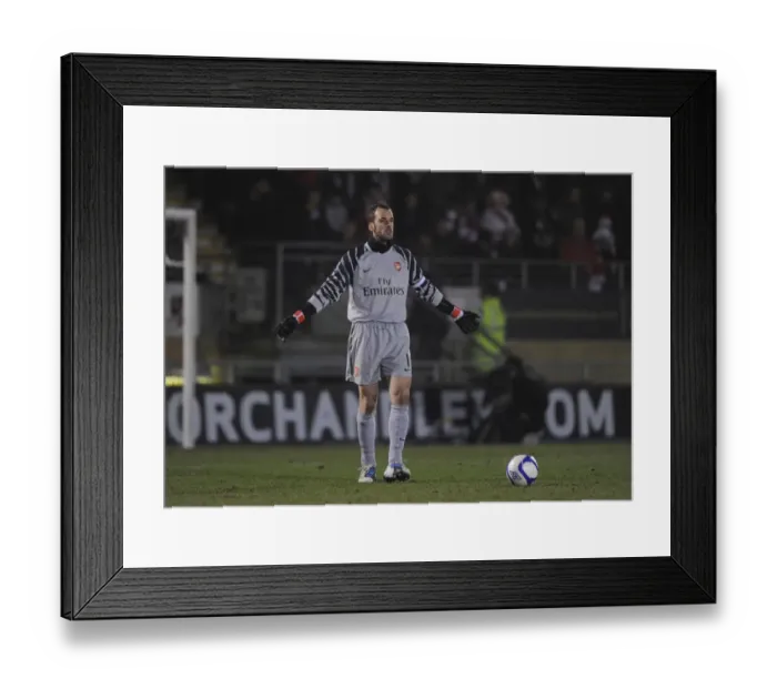 Framed Print : Manuel Almunia (Arsenal). Leyton Orient 1: 1 Arsenal, FA Cup Fifth Round Framed Print : Manuel Almunia (Arsenal). Leyton Orient 1: 1 Arsenal, FA Cup Fifth Round