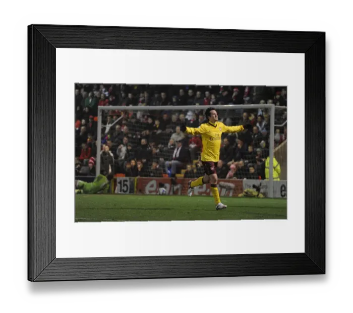 Framed Print : Tomas Rosicky celebrates scoring the Arsenal goal. Leyton Orient 1: 1 Arsenal