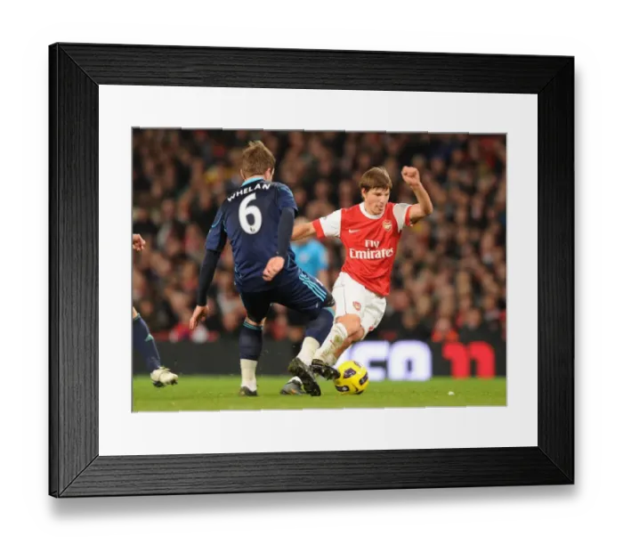 Framed Print : Andrey Arshavin (Arsenal) Glenn Whelan (Stoke). Arsenal 1: 0 Stoke City