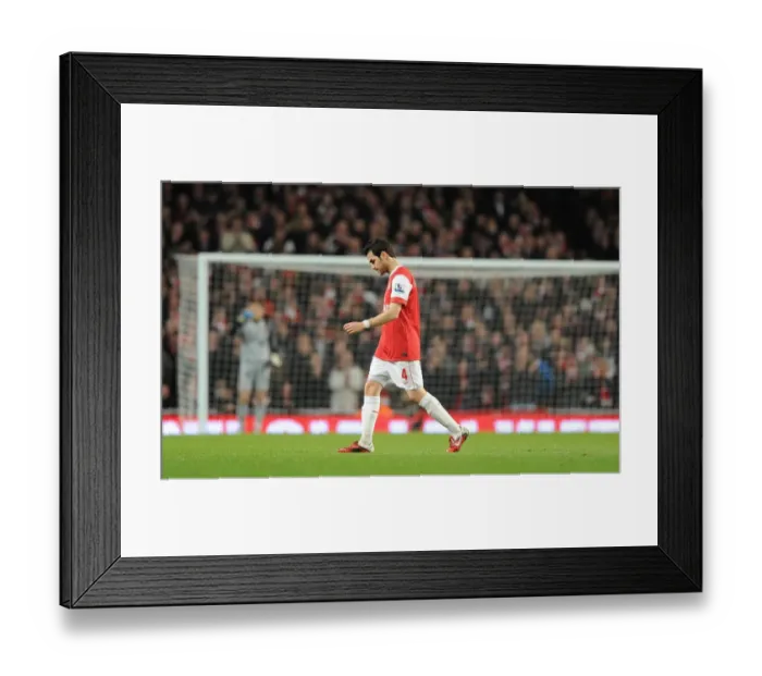 Framed Print : Injured Arsenal captain Cesc Fabregas leaves the field. Arsenal 1: 0 Stoke City Framed Print : Injured Arsenal captain Cesc Fabregas leaves the field. Arsenal 1: 0 Stoke City