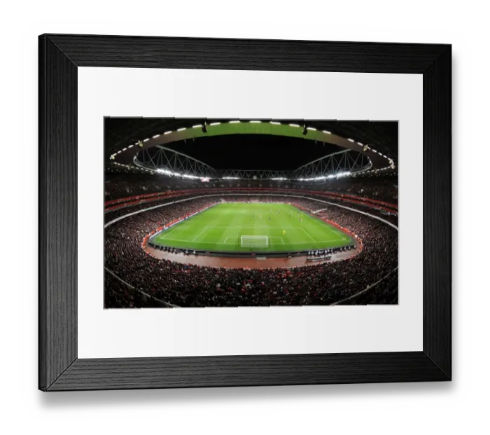 Framed Print : Arsenal's Victory: 1-0 over Stoke City in the Premier League at Emirates Stadium (February 23, 2011) Framed Print : Arsenal's Victory: 1-0 over Stoke City in the Premier League at Emirates Stadium (February 23, 2011)