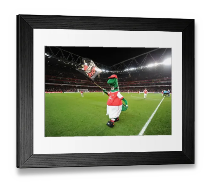 Framed Print : Gunner. Arsenal 1: 0 Stoke City, Barclays Premier League, Emirates Stadium