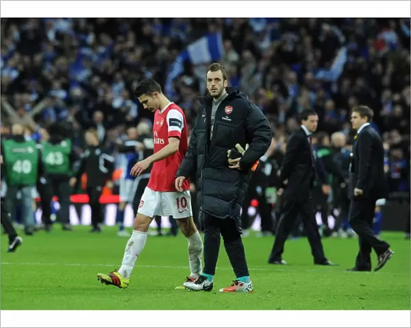 Dejected Arsenal players Manuel Almunia and Robin van Persie. Arsenal 1: 2 Birmingham City