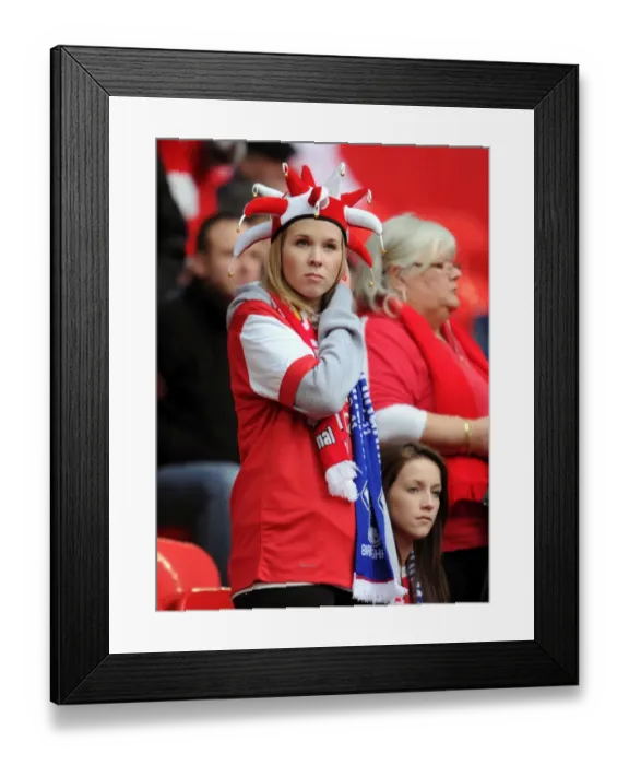 Framed Print : Arsenal Fan's Disappointment: Arsenal 1:2 Birmingham City - Carling Cup Final, Wembley Stadium, 27 / 2 / 11 Framed Print : Arsenal Fan's Disappointment: Arsenal 1:2 Birmingham City - Carling Cup Final, Wembley Stadium, 27 / 2 / 11