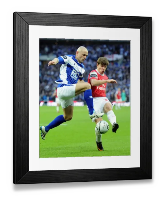 Framed Print : Andrey Arshavin (Arsenal) Stephen Carr (Birmingham). Arsenal 1: 2 Birmingham City