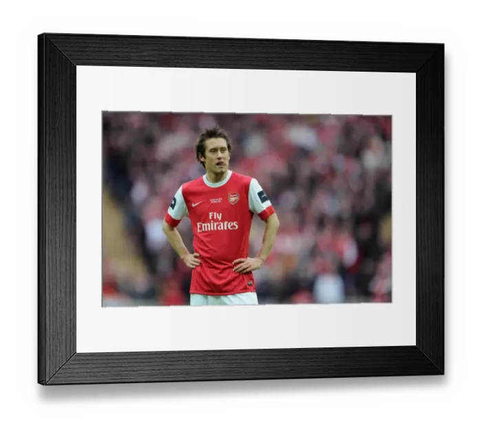 Framed Print : Tomas Rosicky (Arsenal). Arsenal 1: 2 Birmingham City. Carling Cup Final