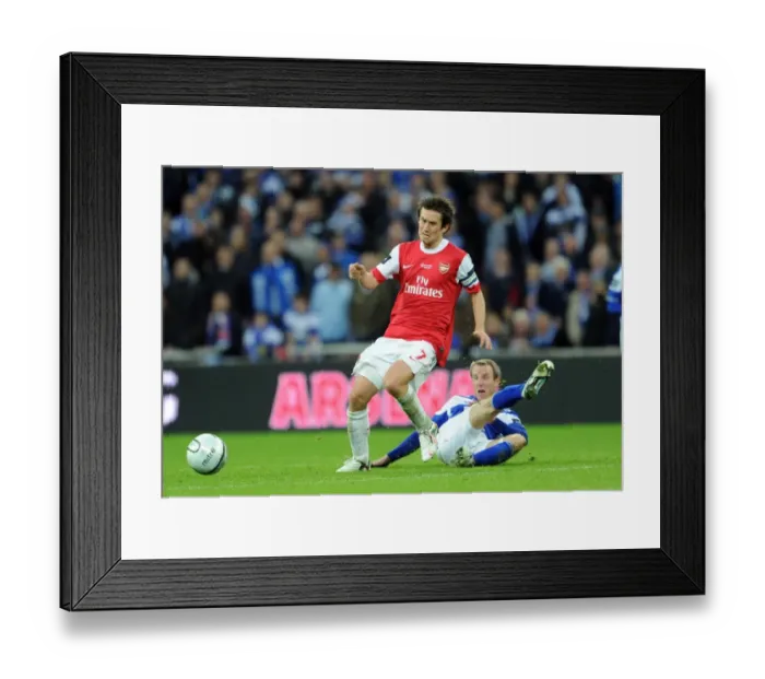 Framed Print : Tomas Rosicky (Arsenal) Lee Bowyer (Birmingham). Arsenal 1: 2 Birmingham City Framed Print : Tomas Rosicky (Arsenal) Lee Bowyer (Birmingham). Arsenal 1: 2 Birmingham City
