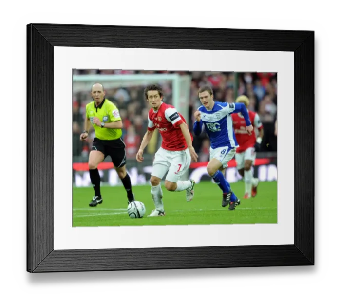 Framed Print : Tomas Rosicky (Arsenal) Craig Gardner (Birmingham). Arsenal 1: 2 Birmingham City Framed Print : Tomas Rosicky (Arsenal) Craig Gardner (Birmingham). Arsenal 1: 2 Birmingham City