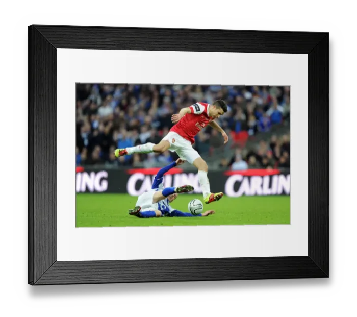 Framed Print : Robin van Persie (Arsenal) Sebastien Larsson (Birmingham). Arsenal 1: 2 Birmingham City