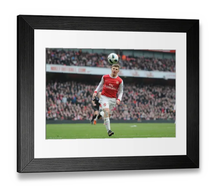 Framed Print : Andrey Arshavin (Arsenal). Arsenal 0: 0 Sunderland, Barclays Premier League Framed Print : Andrey Arshavin (Arsenal). Arsenal 0: 0 Sunderland, Barclays Premier League