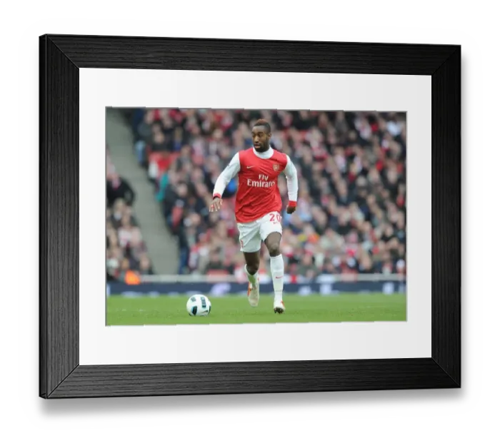 Framed Print : Arsenal's Johan Djourou in Action Against Sunderland at Emirates Stadium, Premier League 2010-11 Framed Print : Arsenal's Johan Djourou in Action Against Sunderland at Emirates Stadium, Premier League 2010-11
